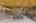 Blurred preview of media: DSC06625