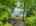 Blurred preview of media: 2-726-0047
