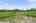 Blurred preview of media: DSC_0752