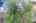 Blurred preview of media: 5126 Copen Dr Aerial 00004