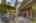 Blurred preview of media: 09