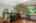 Blurred preview of media: DSC_7326