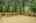 Blurred preview of media: bristow_110