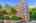 Blurred preview of media: 01