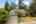 Blurred preview of media: 1-1