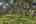Blurred preview of media: 34 4200-havenrock