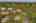 Blurred preview of media: Aerial 24 Marker