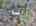 Blurred preview of media: DJI_20260418123932_0579_D_80_D_81_D_easyHDR