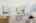 Blurred preview of media: Nerine_043