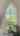 Blurred preview of media: IMG_5869