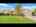 Blurred preview of media: Unknown media
