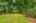 Blurred preview of media: 14