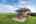 Blurred preview of media: DSC03861