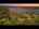 Blurred preview of media: Unknown media