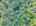 Blurred preview of media: DJI_20260829115533_0191_D_2_D_3_D_easyHDR