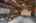 Blurred preview of media: 1-40