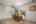 Blurred preview of media: 15-390_S_8th_St