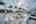 Blurred preview of media: Dorothy Gayle-39