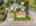 Blurred preview of media: 2449 Colusa-4