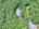 Blurred preview of media: DJI_20260702125742_0643_D_4_D_5_D_easyHDR