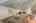 Blurred preview of media: Image-19