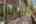 Blurred preview of media: 334 N Pine Meadows Rd - 47