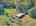 Blurred preview of media: Sky Tour-21