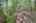 Blurred preview of media: IMG_4640_1_2_easyHDR