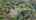 Blurred preview of media: DJI_0711