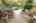 Blurred preview of media: 12