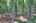 Blurred preview of media: IMG_1666_7_8_easyHDR