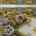 Blurred preview of media: DJI_20261002132608_0193_D