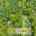 Blurred preview of media: 1-926-0695