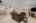 Blurred preview of media: 1-14