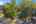 Blurred preview of media: 1-49