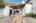 Blurred preview of media: iPixx_01_150