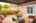 Blurred preview of media: m