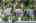 Blurred preview of media: 64 Ellendale St Aerial 00003