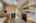 Blurred preview of media: 74-nassau-street-islip-terrace-ny-usa-005
