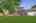 Blurred preview of media: DSC08584