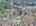 Blurred preview of media: DJI_20260424130831_0751_D_2_D_3_D_easyHDR