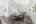 Blurred preview of media: 057A7112