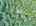 Blurred preview of media: DJI_20260829151359_0348_D_49_D_50_D_easyHDR