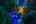 Blurred preview of media: 4Sept0024