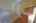 Blurred preview of media: IMG_5534_5_6