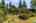 Blurred preview of media: 1-12