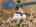 Blurred preview of media: DJI_0152-HDR
