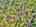Blurred preview of media: DJI_20260505134357_0841_D_2_D_3_D_easyHDR