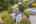 Blurred preview of media: 1-50