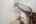 Blurred preview of media: DSC01238